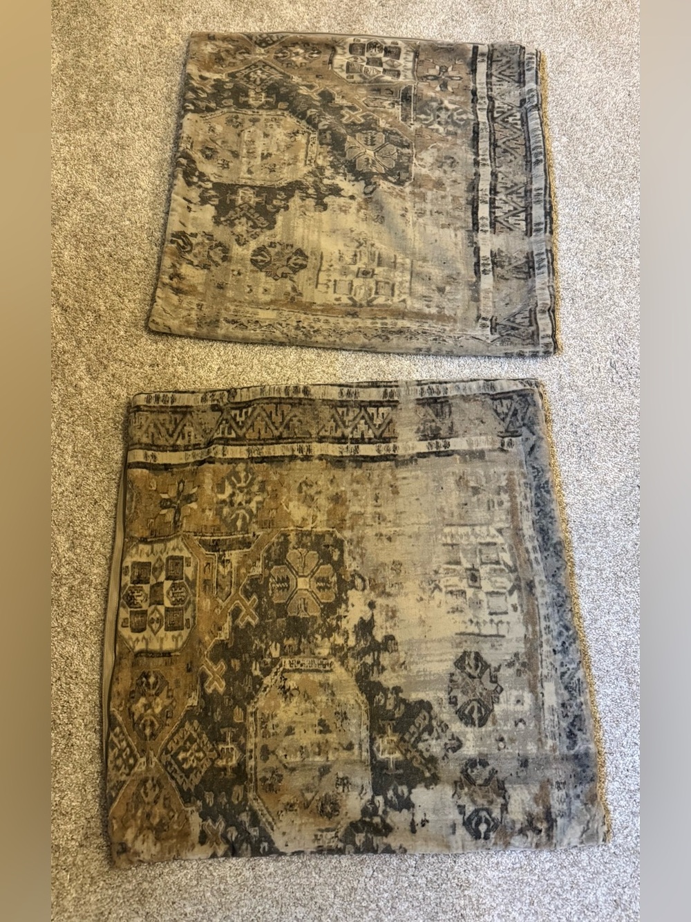 Pottery Barn Zayden Printed Velvet Pillow Cover (Pair)